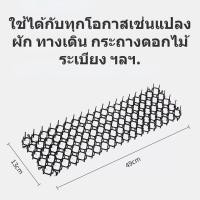 ราคา อุปกรณ์ไล่นก กันนกพิราบ ก้อนไล่นกพิราบ หนามไล่นกพิราบ ที่กันนกพิราบ ที่ไล่นกพิราบ ไล่นก กันนกเกาะ Bird Spikes กำจัดนกพิราบ สแตนเลส กันนก (21180738599)