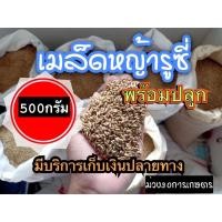 ราคา รูซี่ เมล็ดหญ้ารูซี่ 1 กิโลกรัม รับประกันการงอก พร้อมปลูก หญ้าลูซี่ หญ้าเลี้ยงสัตว์ หญ้า พันธ์ุหญ้า หญ้าเลี้ยงวัว (18090730660)