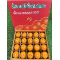 ราคา ส้มสายน้ำผึ้ง ส้มโชกุน บรรจุ 40 ลูก เกรดพรีเมียม คัดพิเศษ สดจากฝาง เชียงใหม่ (18694999317)