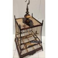 ราคา กรงนกหัวจุก กรงเสาโค้งสปอร์ต 15ซี่ ไม้ขี้เหล็ก พร้อมหัว กรงนก กรงนกหัวจุก สำหรับนกกรงหัวจุก กรงนก พร้อมส่ง ถูกที่สุด (18464552259)