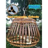 ราคา กรงนกเขาใหญ่ อยุธยา สำหรับสัตว์ปีกเท่านกเขาใหญ่ ซี่แบน ใหญ่ หนา ภายในกรงกว้าง 20 นิ้ว สูง 14 นิ้ว (8957654620)