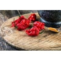 ราคา 20 เมล็ด เมล็ดพริก สายพันธุ์ CAROLINA REAPER พริกเผ็ดที่สุดในโลก ของแท้ 100 อัตราการงอก 70 80 Strawberry seeds มีคู่มือปลูก (9079486167)