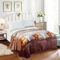 ราคา ผ้าห่มนาโน 6 ฟุต แบบเย็บขอบ ผ้า หนา นุ่ม ลายการ์ตูนน่ารักๆสีสดใสสวยงามมาก (20566355341)