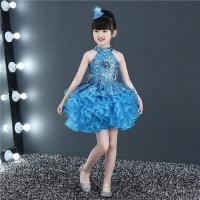 ราคา ชุดดรัมเมเยอร์เด็ก ชุดดรัมเมเยอร์เด็กผู้หญิง ชุดการแสดงสำหรับเด็กกระโปรงตูตูสำหรับสาวเต้นรำ (19354919391)