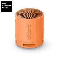 ราคา Sony SRS XB100 ลำโพงพกพา by munkong (20444917873)