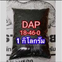 ราคา ปุ๋ย แดป 18 46 0 เร่งดอก บำรุงราก (14680036590)