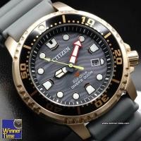 ราคา Winner Time นาฬิกา CITIZEN Eco Drive Promaster Diver รุ่น BN0163 00H รับประกัน บริษัท แอลดีไอ เอ็นเตอร์ไพรส์ ไทยแลนด์ จำกัด (21071346350)