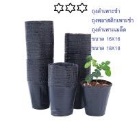 ราคา พร้อมส่ง ถุงดำเพาะชำ ถุงดำอนุบาลต้นไม้ ถุงพลาสติกเพาะชำ ถุงเพาะเมล็ด ถุงเพาะต้นอ่อน กระถางถุงดำเพาะพันธุ์ ขนาดใหญ่ (17432733790)