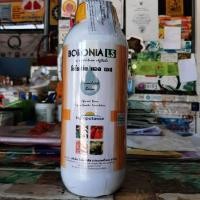 ราคา อาหารเสริมพืชโบรอนโบรอนโบโรเนีย โบรอน10 ผลิตจากพืช100 ไม่แพ้ดอก สูตรเข้มข้นไม่แพ้ดอก1ลิตร (9281038159)