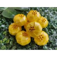 ราคา เหรียญโปรยทาน ตัวเปล่า10ชิ้น โปรยทานงานบวช โปรยทานสำเร็จรูป (19070816281)