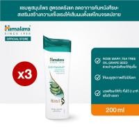ราคา แพ็ค 3 ชิ้น หิมาลายา แชมพูสมุนไพร สูตรลดรังแค และอาการคันหนังศีรษะ 200 มล Himalaya Anti Dandruff Soothing Moisturizing Shampoo 200ml (20405340950)