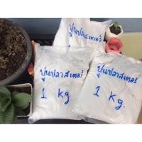 ราคา ปูนปลาสเตอร์ ปูนขาว ปูนทำตุ๊กตา (20907708832)