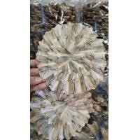 ราคา พร้อมส่ง ปลากระดี่ตากแห้ง 10 วง ปลากระดี่วง ปลากระดี่ ปลาน้ำจืด ตากแห้ง 100 ไร้กลิ่นเหม็น รสชาติ ไม่เค็มมาก ทอดกรอบๆอร่อย ปลาแห้ง (10091191815)