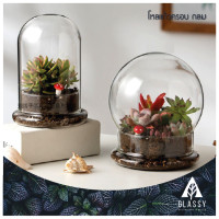 ราคา โหลแก้วสวยๆ พร้อมส่งจากไทย Terrarium โหลแก้วฝาครอบกลม ทำสวนขวด สวนจิ๋ว DIY อุปกรณ์ตกแต่งสวน (20882049994)