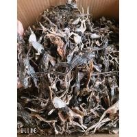 ราคา เขียดตากแห้งคละไข่ครื่งโล (20383712068)