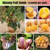 ราคา ขายเมล็ดพันธุ์ ประเทศไทยพร้อมสต็อก 10เมล็ด เมล็ดพันธุ์ ผลไม้โสม Pepino Melon Seeds Ginseng Fruit Seed ต้นไม้ผลกินได้ เมล็ดพันธุ์ผลไม้ บอนไซ เมล็ดบอนสี บอนสี ต้นไม้ พันธุ์ไม้ผล ต้นพันธุ์ผลไม้ เมล็ดพัน 