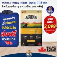 ราคา อาหารสุนัข ACANA ลูกสุนัข 2เดือน 1 ปีทุกสายพันธุ์ ขนาด 11 4กก (1387918078)