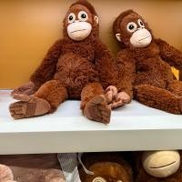 ราคา ตุ๊กตาผ้าอิเกียของแท้100 อุรังอุตัง ขนาดความยาว 66 ซม พร้อมส่ง (19178743797)