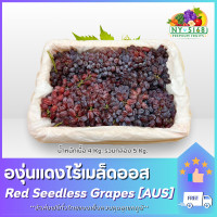 ราคา มาใหม่ องุ่นแดงไร้เมล็ดออสเตรเลีย 4 Kg AUS Red Australian Seedless Grape องุ่นแดง ขนส่งควบคุมอุณหภูมิ 5168Fruits (20654863183)