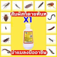 ราคา ยากำจัดมด ยากำจัดปลวก ผงกำจัดปลวก 10 ปีที่ไม่มีมด โรยนิดนึงตายหมดรัง ฆ่าทั้งรัง ปลอดภัยและเชื่อถือได้ ยากำจัดปลวก ยาฆ่ามด ยกรัง ยาฆ่าปลวก น้ำยากำจัดปลวก เหยื่อกำจัดปลวก กำจัดปลวก ยกรัง กำจัดปลวกยกรัง 