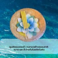 ราคา 27พฤศจิกา วันลอยกระทง กระทงเทียนดอกไม้ กะลาธรรมชาติ ปลอดภัยต่อสิ่งแวดล้อม กระทงกะลา ลอยกระทง (16568556786)