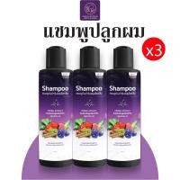 ราคา ของแท้ สุดคุ้ม3ขวด พรทิน่า แชมพูสมุนไพร สำหรับผู้ชาย ผมน้อย ผมบาง ศรีษะล้าน โดยเฉพาะ แชมพูพรทิน่า สมุนไพรแท้ 200ml ขวด (1184574284)