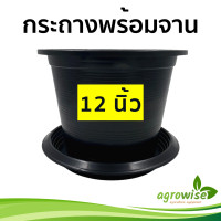 ราคา กระถางต้นไม้สวยๆ กะถางต้นไม้ กระถางพลาสติก กระถางดำ สีดำ 12 นิ้ว 12 นิ้ว สีดำ (16275569830)