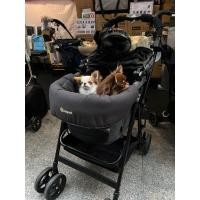 ราคา Compet Reversible Comfort Cushion Combi Baby Fabric Stroller Accessory (20836460606)