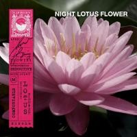 ราคา KARMAKAMET Gift Set 3 Original Moisturizing Hand Cream ชุดของขวัญคามาคาเมต เซต 3 ครีมบำรุงผิวมือ บำรุงมือ ครีมทาผิว ของขวัญ จับฉลาก ของขวัญให้ลูกค้า (20744278690)