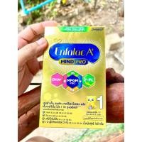 ราคา Enfalac A เอนฟาแลค เอพลัส สูตร 1 160 g 1กล่อง (21219773854)
