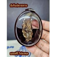 ราคา ช้องหมูป่า ช้องหมูโทน ของทนสิทธิ์จากธรรมชาติ กันภัยแคล้วคลาด กันภัย เลี่ยมกันน้ำอย่างดี แถมฟรีไม้มงคล ผ้ายันต์ สร้อยข้อมือครูบาบุญชุ่ม (20911915525)