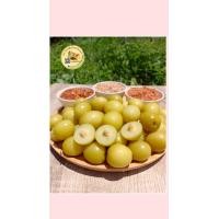 ราคา พุทราดอง พุทราดองเกลือ พุทรานมสดดอง ผลไม้ดอง 500g แถมฟรีพริกเกลือ (20513288432)