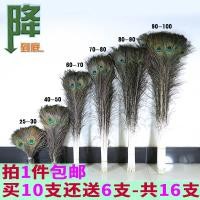 ราคา ขนนกยูงขนนกนกยูงธรรมชาติแท้แจกันใส่ของประดับตกแต่งขนนก25 100ซม (9977059214)