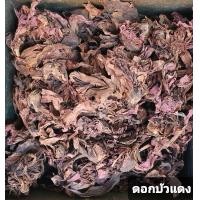 ราคา สมุนไพร ดอกบัวแดง อบแห้ง อย่างดี 200กรัม (10272373478)