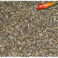 ราคา เทียนตาตั๊กแตน เมล็ดผักชีลาว มะแหลบ (20783754150)