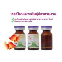 ราคา ฮอร์โมนเพาะพันธุ์ปลาทอง ขนาด 3 ml ฮอร์โมนเพาะพันธุ์ปลาคราฟ ฮอร์โมนเพาะพันธุ์ปลาสวยงาม ฮอร์โมนเพาะพันธุ์สัตว์น้ำ สำหรับเพาะพันธุ์ปลา (18857331505)