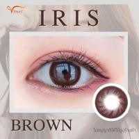 ราคา คอนแทคเลนส์ Iris Brown Brown Gray ยี่ห้อ Beautylens ค่าสายตาปกติ 700 (20594661479)