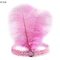 ราคา NCSW ที่คาดผมประดับเลื่อมคริสตัลขนนกอินเดียเครื่องประดับผมแฟชั่นแบบอินเดียสำหรับปาร์ตี้วันหยุด (19700102164)