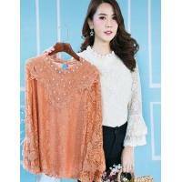 ราคา เสื้อลูกไม้แขนยาว เสื้อแขนระบาย เสื้อลูกไม้ออกงาน เสื้อลูกไม้สุภาพ เสื้อสาวอวบรุ่น991 (6471710546)