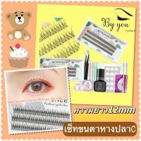 ราคา พร้อมส่ง ชุดต่อขนตา ชุดต่อขนตาด้วยตัวเอง ชุดต่อขนตาถาวร ชุดต่อขนตาปลอม ขนตาต่อเองขนตาปลอมขนตาขนตาติดเอง (16848542328)