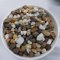 ราคา หินโรยหน้ากระถาง 1 กิโลกรัม หิน หินโรยแคคตัส หินใส่ตู้ปลา หินตกแต่งตู้ปลา หินโรยกระถาง ถูกมาก (11736700380)
