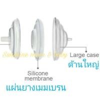 ราคา กันย้อน Spectra แท้ ตลับละ ฝาเล็ก ฝาใหญ่ แผ่นยาง ใช้ได้กับ cimilre และ freemie (16302319527)