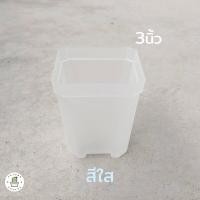 ราคา กระถางพาสเทล กระถางต้นไม้ กระถางแคคตัส ทรงสี่เหลี่ยม สีขาว ใส ฟ้า ชมพู เหลือง 3นิ้ว 4นิ้ว (17433209796)