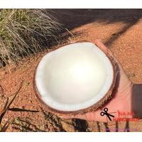 ราคา มะพร้าวทับสะแกแท้ๆ ส่งตรงจากสวน มะพร้าวกะทิ มะพร้าวแกง มะพร้าวแก่ทับสะแกเนื้อหนามันเยอะ รบกวนทักแชท เช็คสต๊อคก่อนสั่งนะคะ (17155991614)