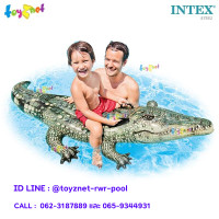 ราคา Intex แพจระเข้เหมือนจริง 1 70x0 86x0 31 ม รุ่น 57551 (100049815)