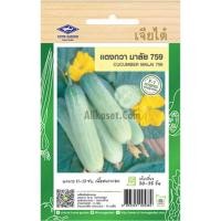 ราคา เมล็ดพันธุ์ แตงกวา มาลัย 759 ตราเจียไต๋ (20682563415)