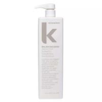 ราคา แชมพูสำหรับสระทุกวัน Kevin Murphy Hair Balancing Wash (17439389464)