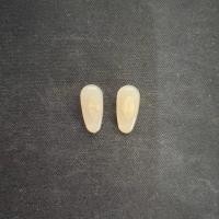 ราคา แป้นรองจมูกแว่น L1 แบบเสียบ อะไหล่แว่นตา อะไหล่แว่น Nose Pad แป้นจมูก แป้นรอง ราคา คู่ นะคะ พร้อมส่งจากไทย (21075604411)