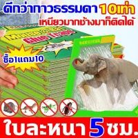 ราคา รุ่นหนาขึ้นอัพเกรด2024 MSW แบบสำเร็จรูป กาวดักหนู ซื้อ1แถม10 อุปกรณ์กำจัดหนูมืออาชีพยี่ห้อเก่ากว่า 30 ปี กาวดักหนูถาด กาวนำเข้าจากเยอรมัน กาวดักหนู แน่นๆ กระดาษหนาขึ้นใหญ่ขึ้น เหนียวสุดๆ ไร้สารพิษ หนู