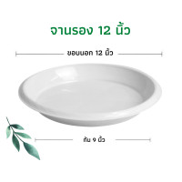 ราคา จานรองกระถาง ถาดรองกระถาง จานรองกระถางต้นไม้ ถาดรองกระถางต้นไม้ จานรองพลาสติก จานรองกระถางพลาสติก 6นิ้ว 8นิ้ว 10นิ้ว 12นิ้ว 15นิ้ว 17นิ้ว (13962526654)